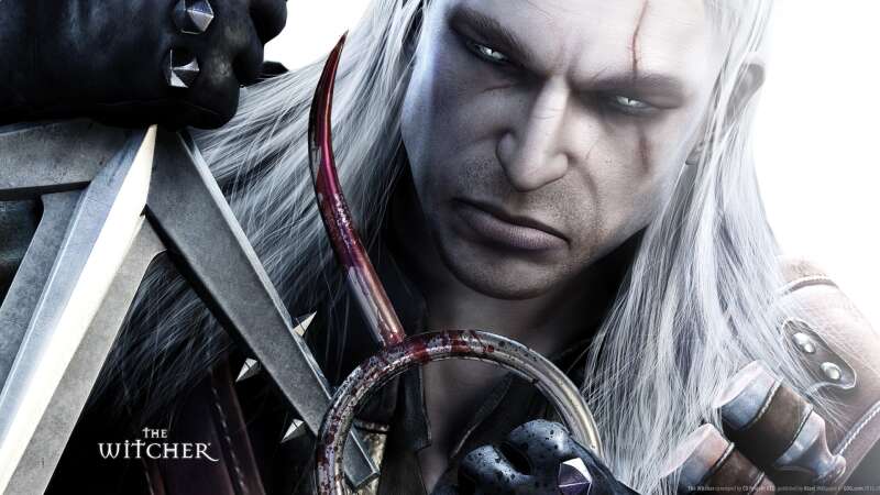 The Witcher Remake The Witcher Remake